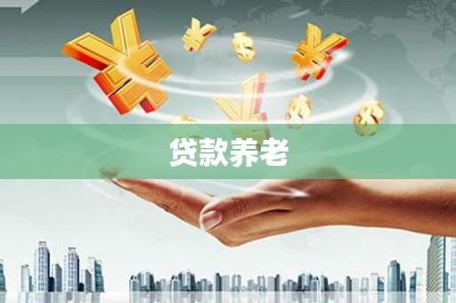 离岛贷款养老