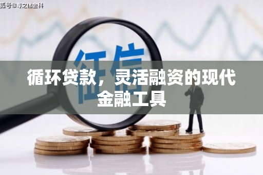 离岛循环贷款，灵活融资的现代金融工具