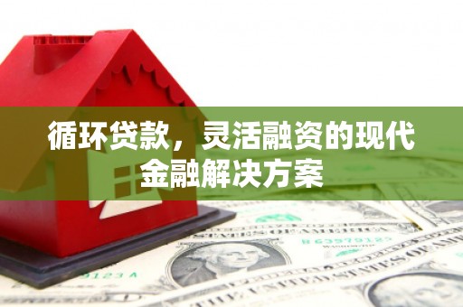 离岛循环贷款，灵活融资的现代金融解决方案