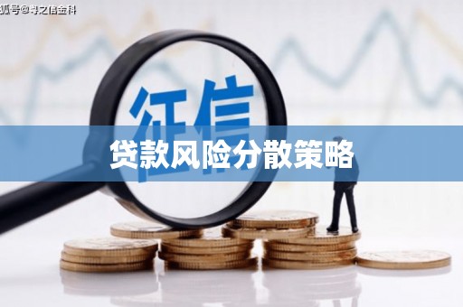 离岛贷款风险分散策略