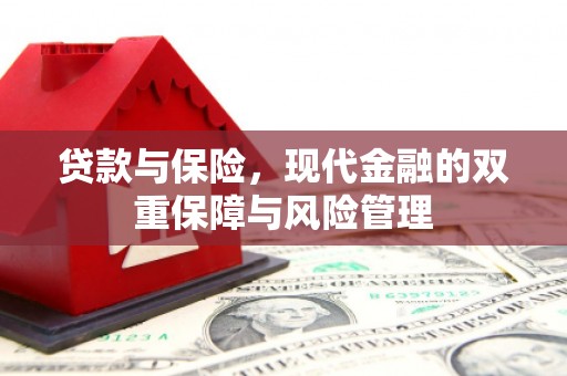 离岛贷款与保险，现代金融的双重保障与风险管理