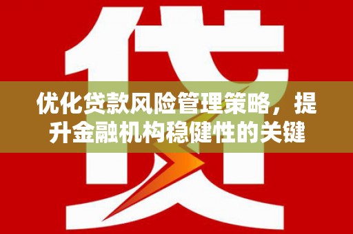 离岛优化贷款风险管理策略，提升金融机构稳健性的关键