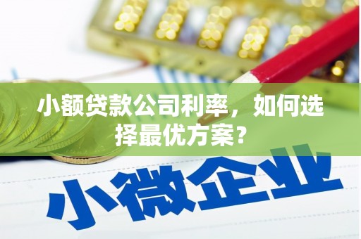 离岛小额贷款公司利率，如何选择最优方案？