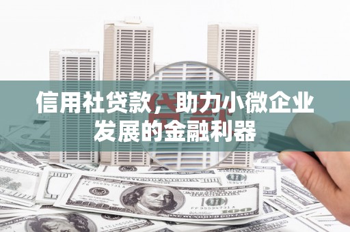 离岛信用社贷款，助力小微企业发展的金融利器