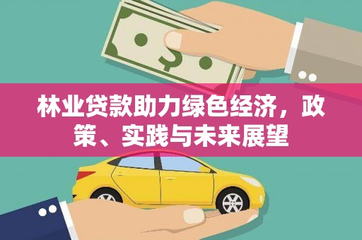 离岛林业贷款助力绿色经济，政策、实践与未来展望