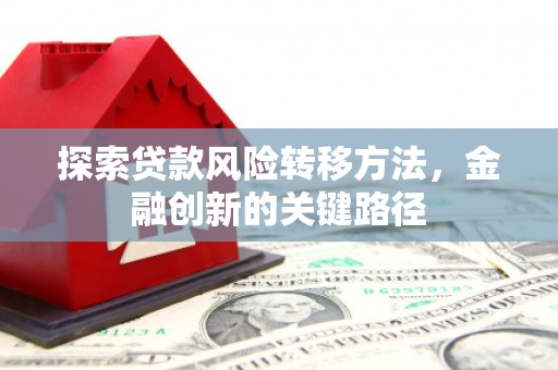 离岛探索贷款风险转移方法，金融创新的关键路径