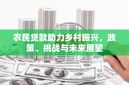 离岛农民贷款助力乡村振兴，政策、挑战与未来展望