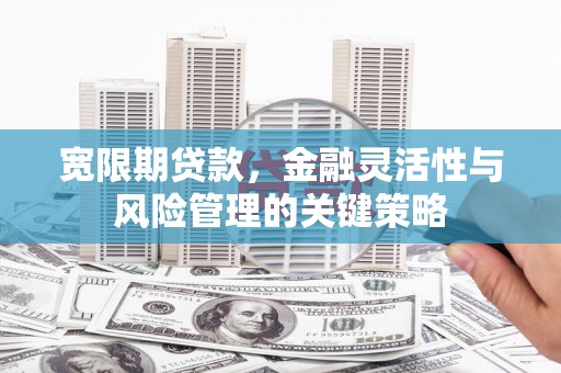 离岛宽限期贷款，金融灵活性与风险管理的关键策略