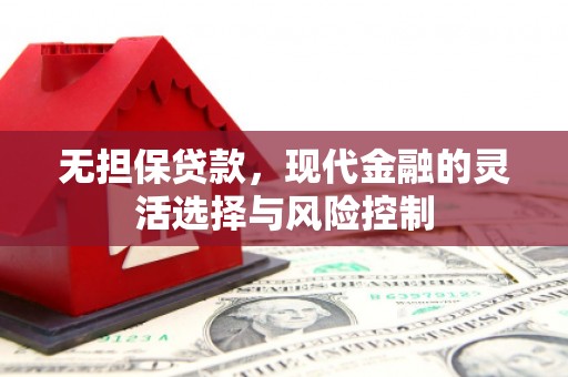 离岛无担保贷款，现代金融的灵活选择与风险控制