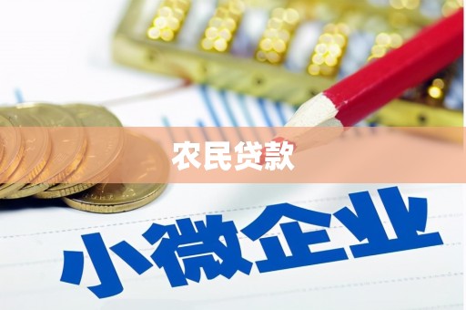 离岛农民贷款