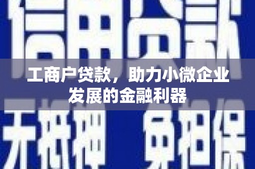 离岛工商户贷款，助力小微企业发展的金融利器