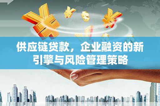 离岛供应链贷款，企业融资的新引擎与风险管理策略
