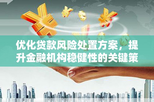 离岛优化贷款风险处置方案，提升金融机构稳健性的关键策略