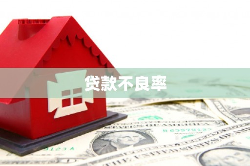 离岛贷款不良率