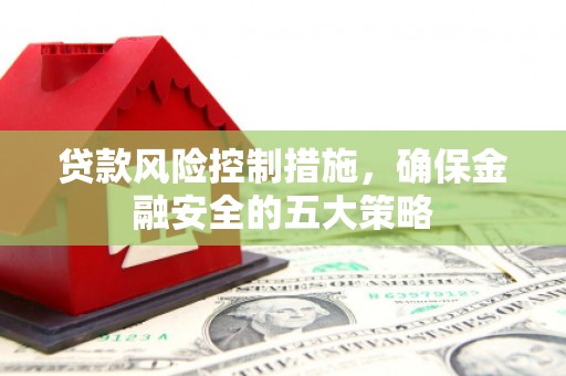 离岛贷款风险控制措施，确保金融安全的五大策略