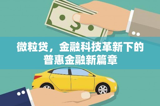 离岛微粒贷，金融科技革新下的普惠金融新篇章