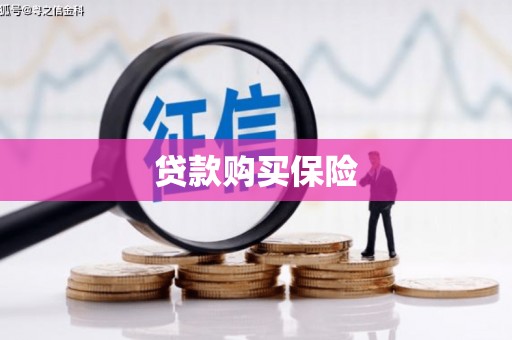 离岛贷款购买保险