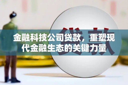 离岛金融科技公司贷款，重塑现代金融生态的关键力量
