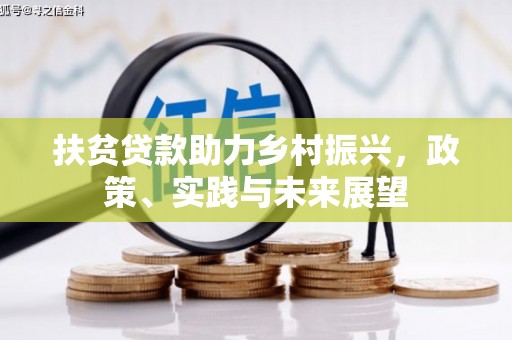 离岛扶贫贷款助力乡村振兴，政策、实践与未来展望