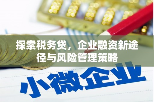 离岛探索税务贷，企业融资新途径与风险管理策略