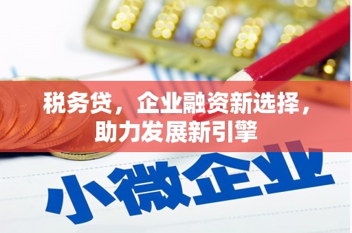 离岛税务贷，企业融资新选择，助力发展新引擎