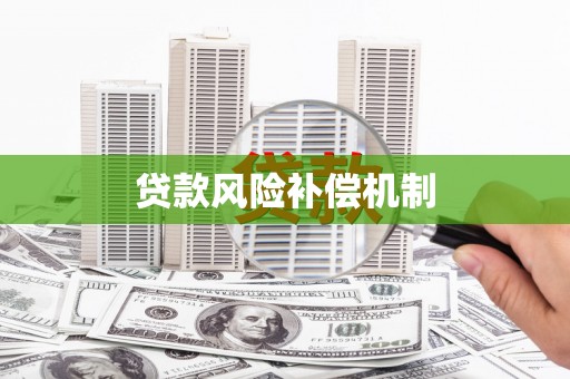 离岛贷款风险补偿机制