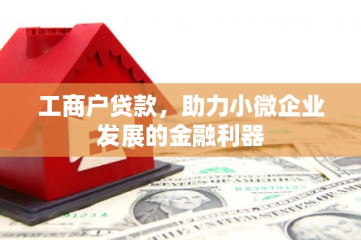 离岛工商户贷款，助力小微企业发展的金融利器