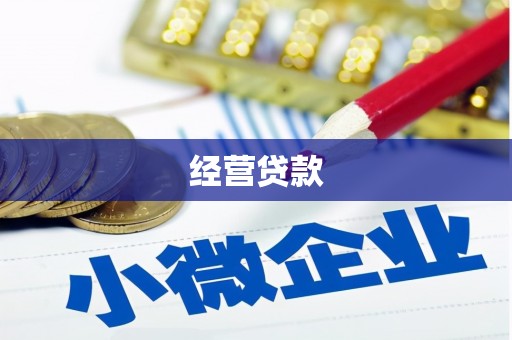 离岛经营贷款