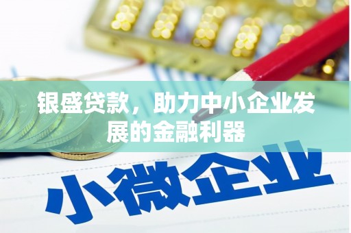 离岛银盛贷款，助力中小企业发展的金融利器