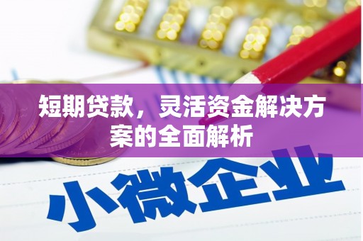 离岛短期贷款，灵活资金解决方案的全面解析