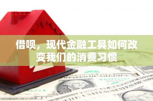 离岛借呗，现代金融工具如何改变我们的消费习惯