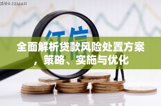 离岛全面解析贷款风险处置方案，策略、实施与优化