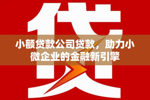 离岛小额贷款公司贷款，助力小微企业的金融新引擎
