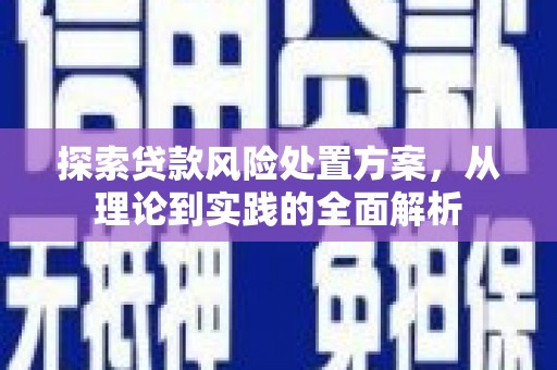离岛探索贷款风险处置方案，从理论到实践的全面解析