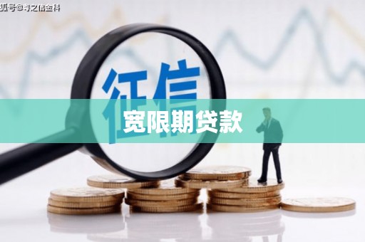 离岛宽限期贷款