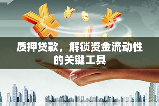 离岛质押贷款，解锁资金流动性的关键工具