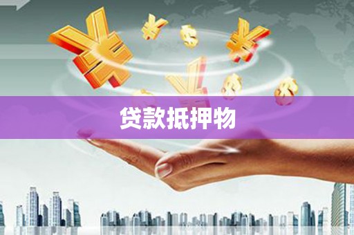 离岛贷款抵押物