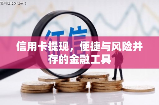 离岛信用卡提现，便捷与风险并存的金融工具