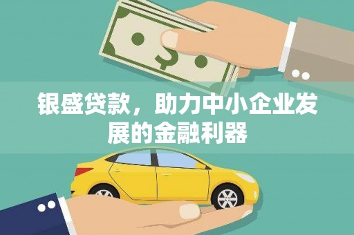 离岛银盛贷款，助力中小企业发展的金融利器