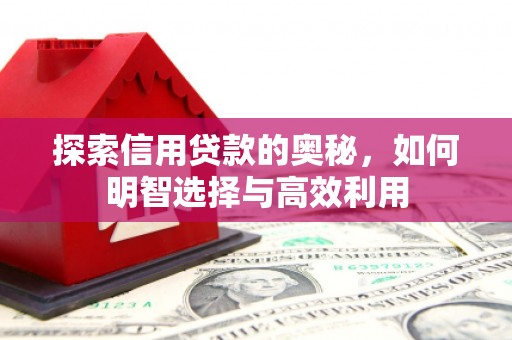 离岛探索信用贷款的奥秘，如何明智选择与高效利用
