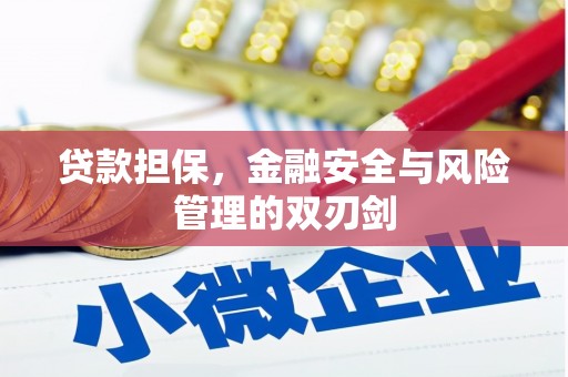离岛贷款担保，金融安全与风险管理的双刃剑