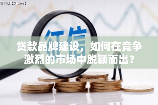 离岛贷款品牌建设，如何在竞争激烈的市场中脱颖而出？