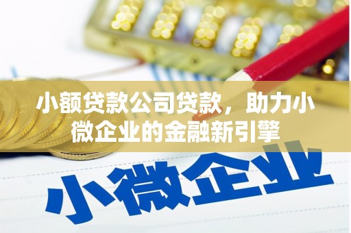 离岛小额贷款公司贷款，助力小微企业的金融新引擎