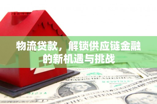 离岛物流贷款，解锁供应链金融的新机遇与挑战