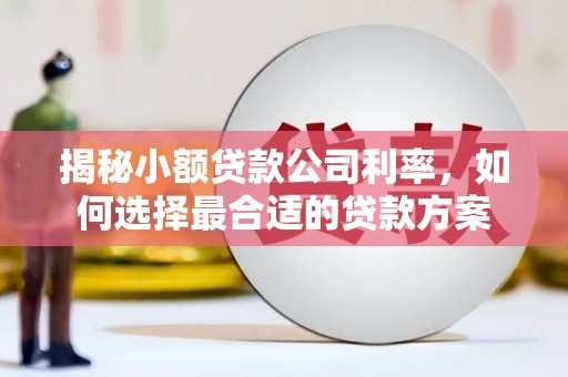 离岛揭秘小额贷款公司利率，如何选择最合适的贷款方案