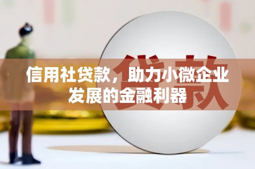 离岛信用社贷款，助力小微企业发展的金融利器