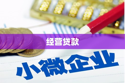 离岛经营贷款
