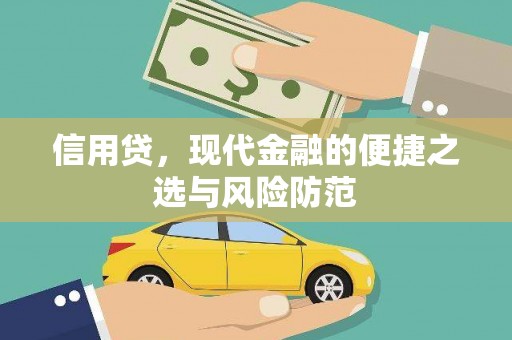 离岛信用贷，现代金融的便捷之选与风险防范