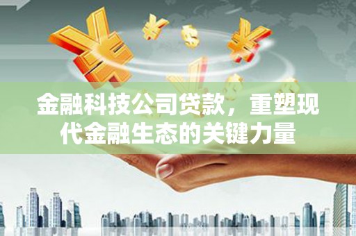 离岛金融科技公司贷款，重塑现代金融生态的关键力量