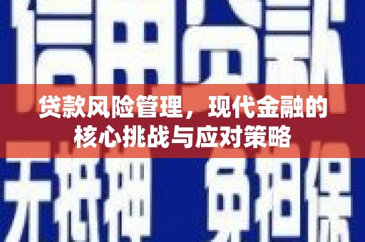 离岛贷款风险管理，现代金融的核心挑战与应对策略